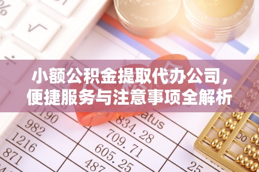 泸定小额公积金提取代办公司，便捷服务与注意事项全解析