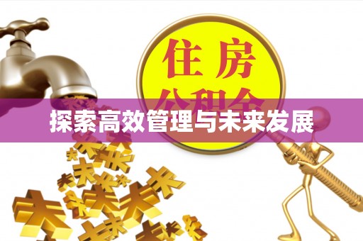 泸定探索高效管理与未来发展