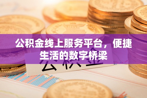 泸定公积金线上服务平台，便捷生活的数字桥梁