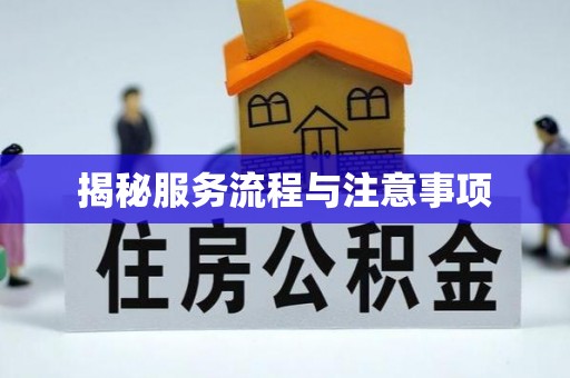 泸定揭秘服务流程与注意事项
