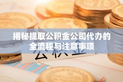 泸定揭秘提取公积金公司代办的全流程与注意事项