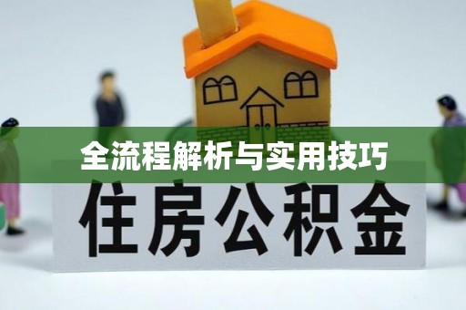 泸定全流程解析与实用技巧