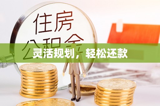 泸定灵活规划，轻松还款