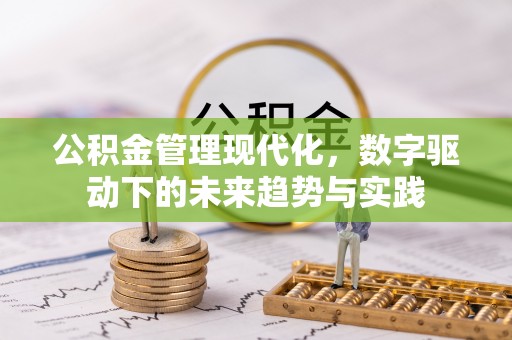 泸定公积金管理现代化，数字驱动下的未来趋势与实践