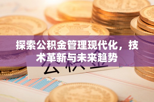 泸定探索公积金管理现代化，技术革新与未来趋势