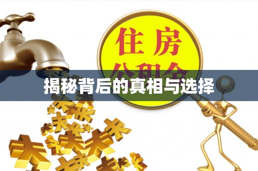 泸定揭秘背后的真相与选择