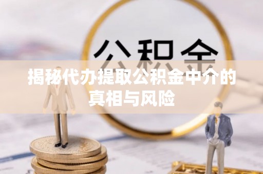 泸定揭秘代办提取公积金中介的真相与风险