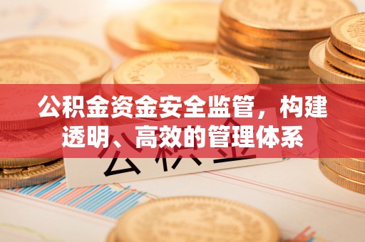 泸定公积金资金安全监管，构建透明、高效的管理体系