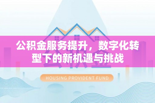 泸定公积金服务提升，数字化转型下的新机遇与挑战