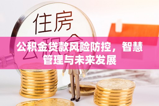 泸定公积金贷款风险防控，智慧管理与未来发展
