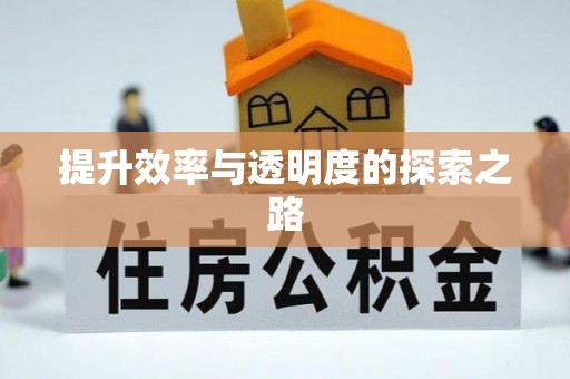 泸定提升效率与透明度的探索之路