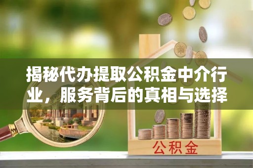 泸定揭秘代办提取公积金中介行业，服务背后的真相与选择指南