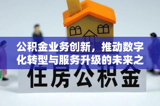 泸定公积金业务创新，推动数字化转型与服务升级的未来之路