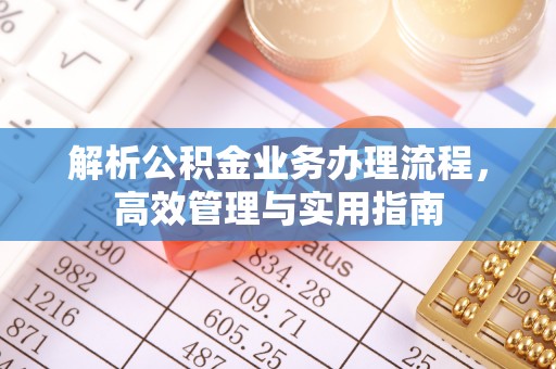 泸定解析公积金业务办理流程，高效管理与实用指南