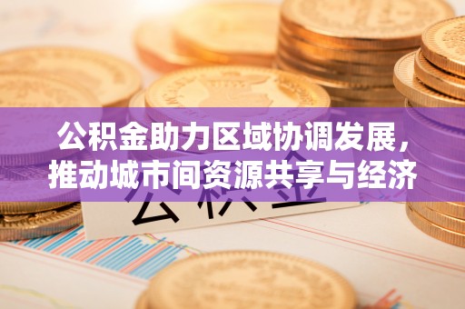 泸定公积金助力区域协调发展，推动城市间资源共享与经济均衡发展