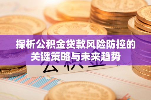 泸定探析公积金贷款风险防控的关键策略与未来趋势