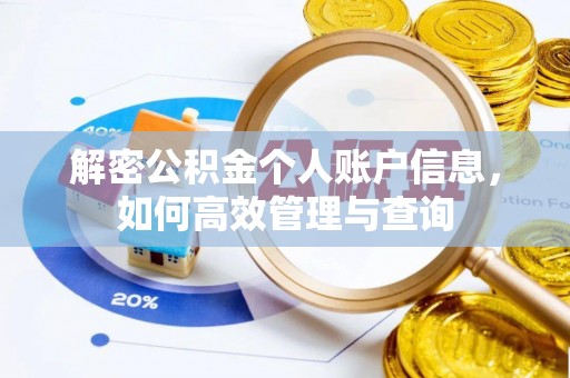泸定解密公积金个人账户信息，如何高效管理与查询