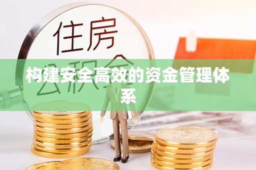 泸定构建安全高效的资金管理体系