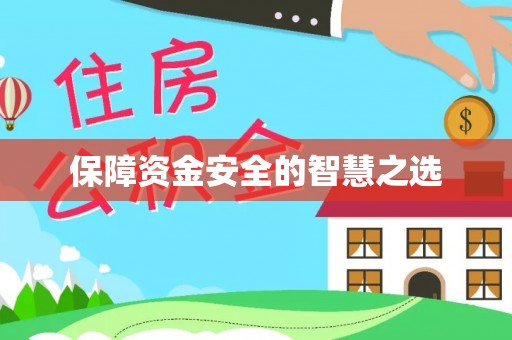 泸定保障资金安全的智慧之选