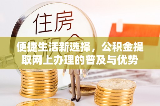 泸定便捷生活新选择，公积金提取网上办理的普及与优势