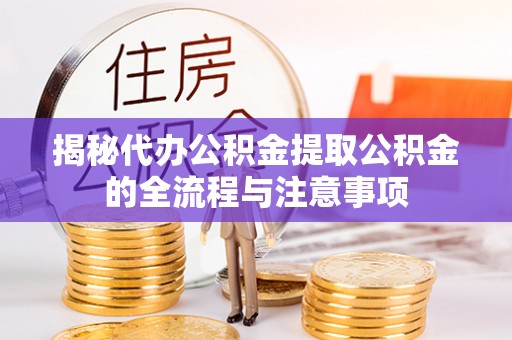泸定揭秘代办公积金提取公积金的全流程与注意事项