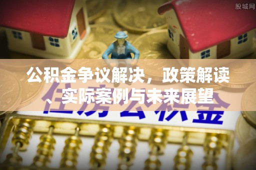 泸定公积金争议解决，政策解读、实际案例与未来展望