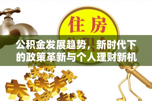 泸定公积金发展趋势，新时代下的政策革新与个人理财新机遇