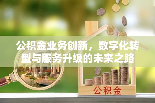 泸定公积金业务创新，数字化转型与服务升级的未来之路