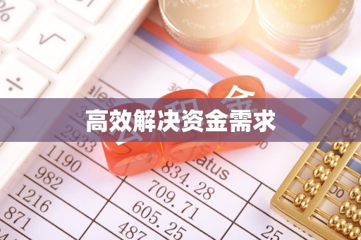 泸定高效解决资金需求