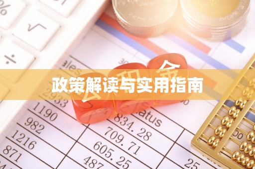 泸定政策解读与实用指南