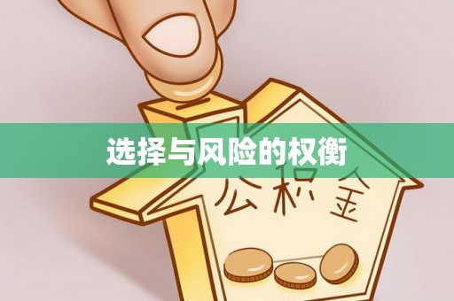 泸定选择与风险的权衡