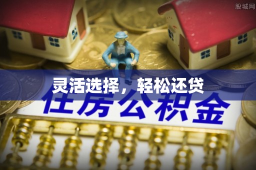 泸定灵活选择，轻松还贷