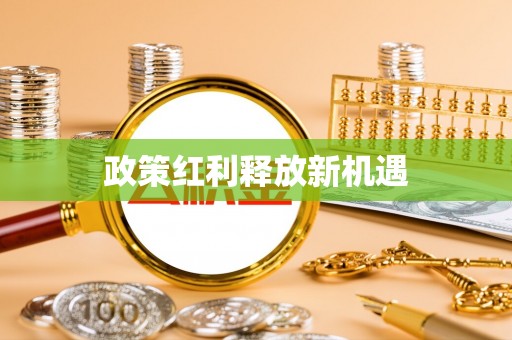 泸定政策红利释放新机遇