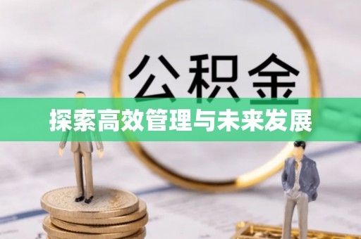 泸定探索高效管理与未来发展