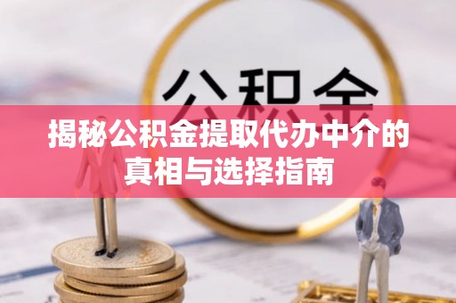 泸定揭秘公积金提取代办中介的真相与选择指南