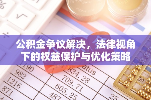 泸定公积金争议解决，法律视角下的权益保护与优化策略