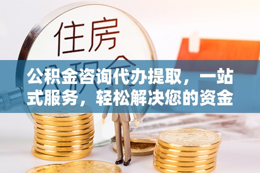 泸定公积金咨询代办提取，一站式服务，轻松解决您的资金需求