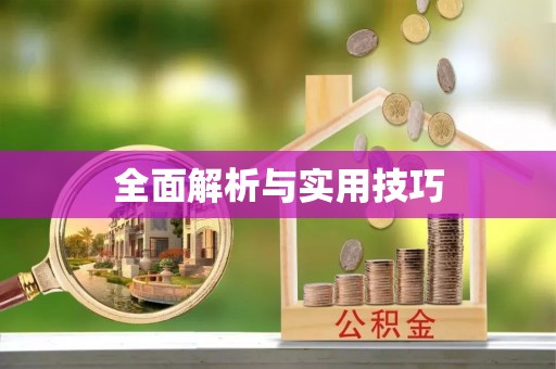 泸定全面解析与实用技巧