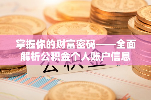 泸定掌握你的财富密码——全面解析公积金个人账户信息