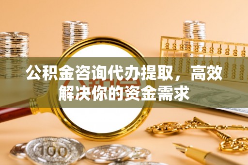 泸定公积金咨询代办提取，高效解决你的资金需求