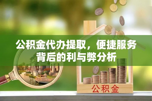 泸定公积金代办提取，便捷服务背后的利与弊分析