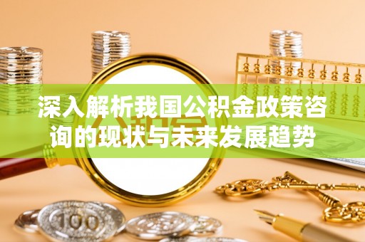 泸定深入解析我国公积金政策咨询的现状与未来发展趋势