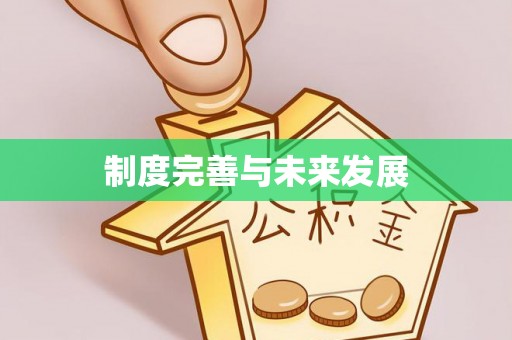 泸定制度完善与未来发展