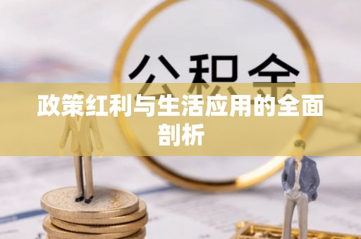 泸定政策红利与生活应用的全面剖析