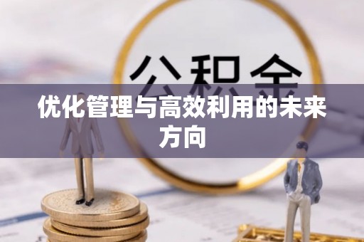 泸定优化管理与高效利用的未来方向
