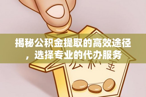 泸定揭秘公积金提取的高效途径，选择专业的代办服务