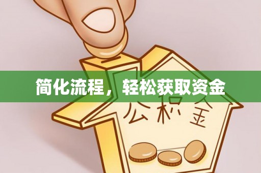 泸定简化流程，轻松获取资金