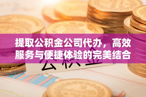 泸定提取公积金公司代办，高效服务与便捷体验的完美结合