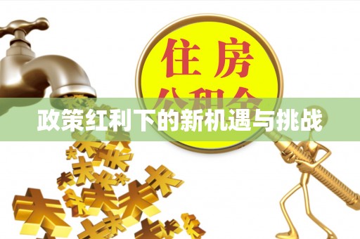 泸定政策红利下的新机遇与挑战
