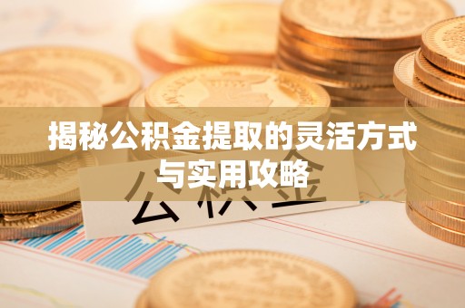泸定揭秘公积金提取的灵活方式与实用攻略